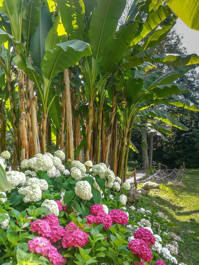 קמאיורה Relais Corte Rodeschi מראה חיצוני תמונה
